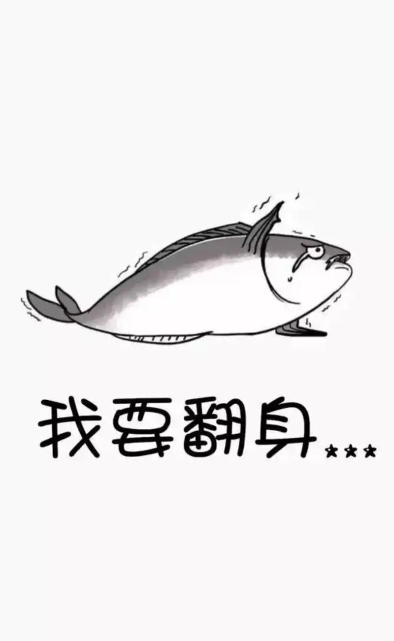 咸鱼翻身算我输