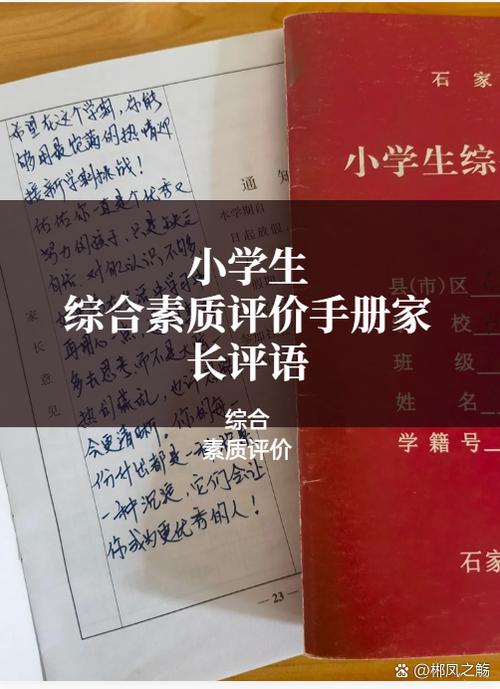 小学生综实