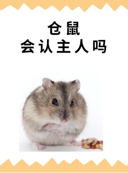 袋熊养久了会认主人吗