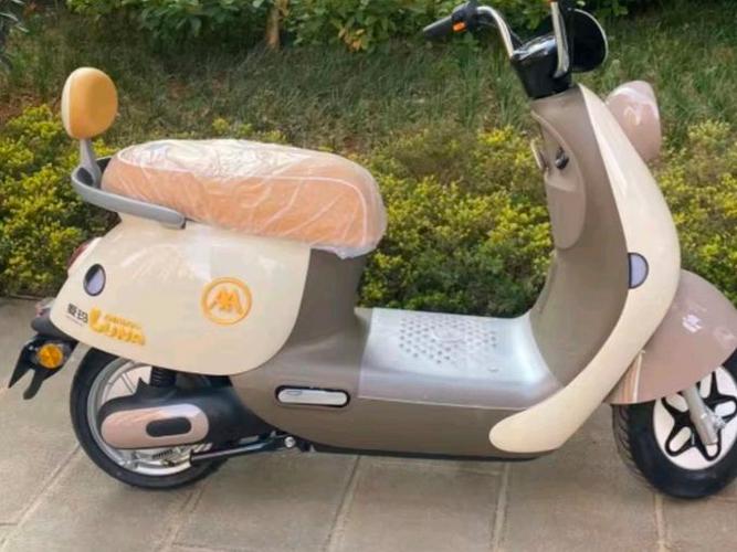 爱玛电瓶5块60v价格