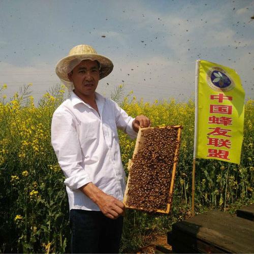 怎样加入中国蜂友联盟
