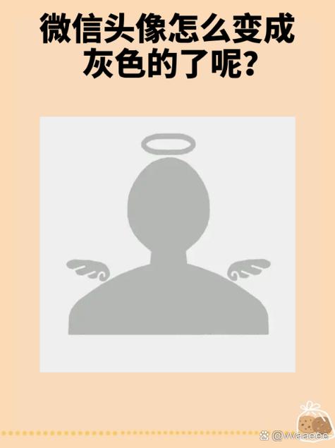微信好友头像变灰的解除方法