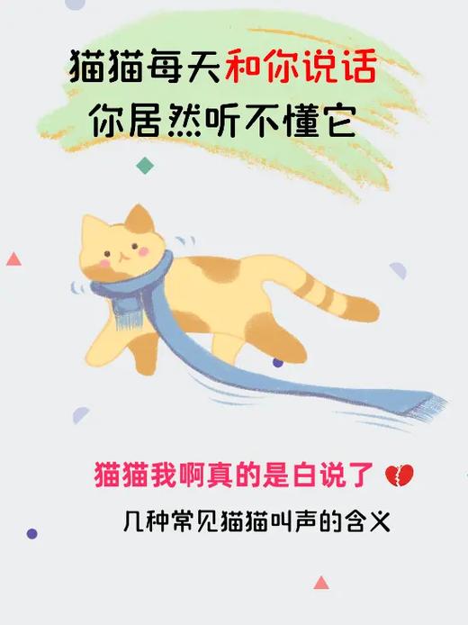 喵呜是啥意思网络用语缩略图