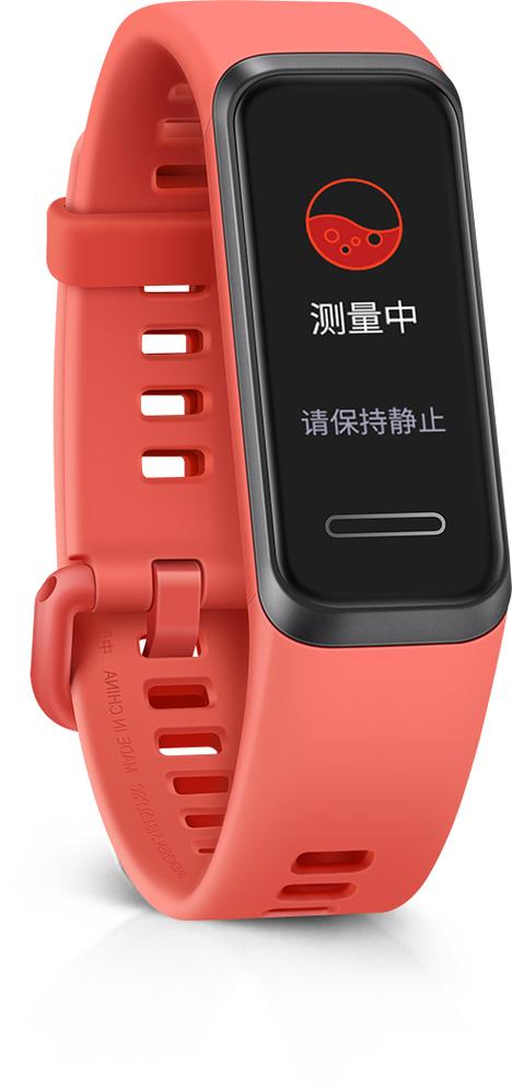 华为手环4的301认证图标