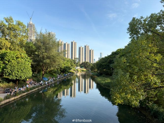 相机拍出来的照片是反方向