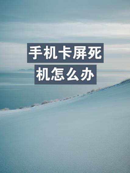 三星手机卡屏什么都弄不了怎么办