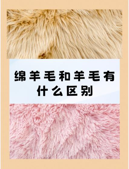 绵羊毛和羊毛有什么区别哪个好