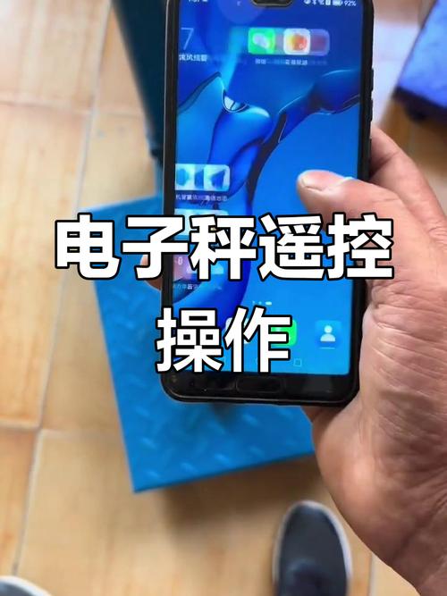 手机变电子秤软件