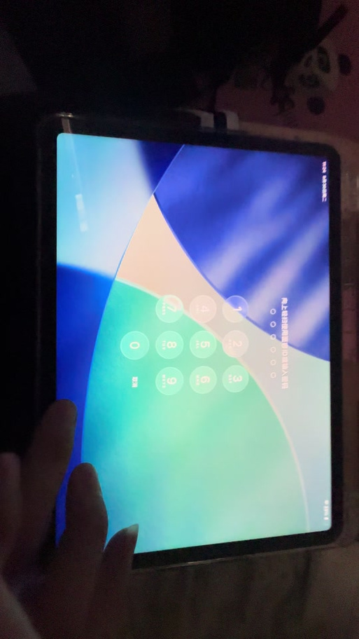ipad有面部解锁吗