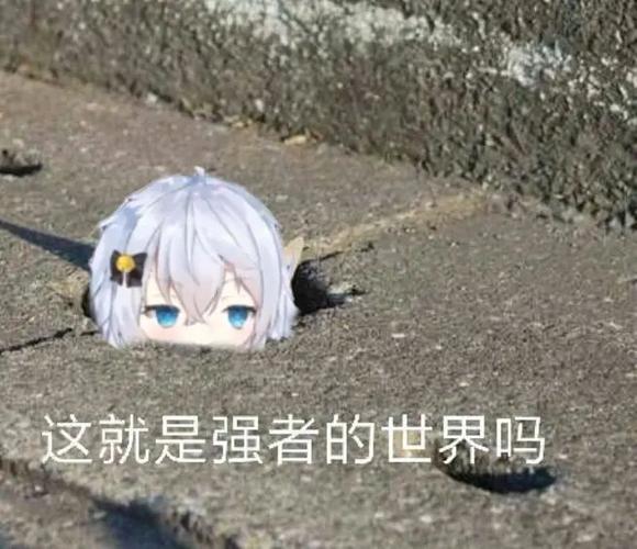 这就是高手的世界吗表情包
