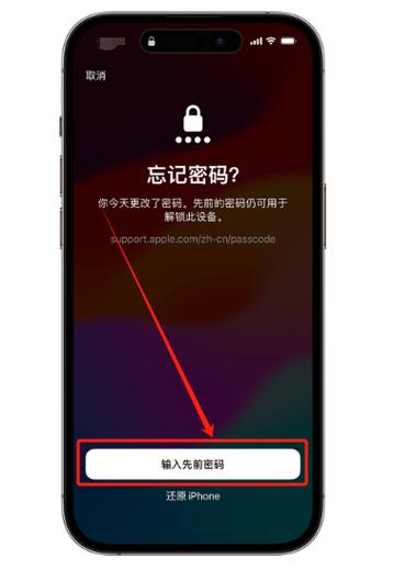 苹果设置不了简单密码