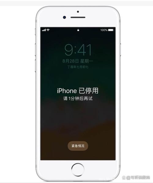 苹果手机忘了开机密码