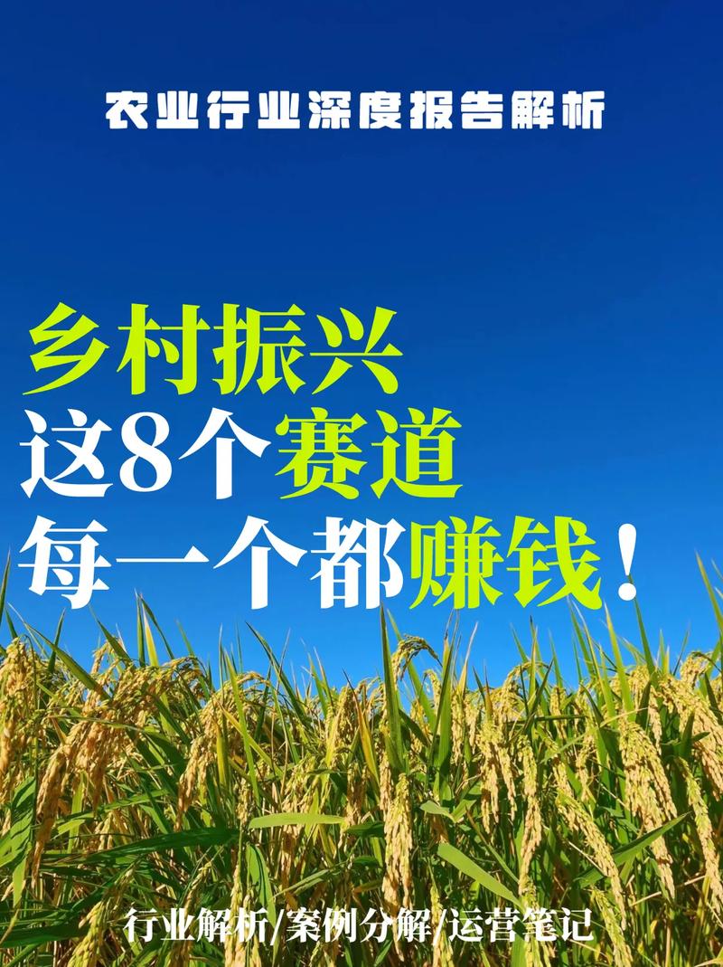 小农乡视频如何赚钱