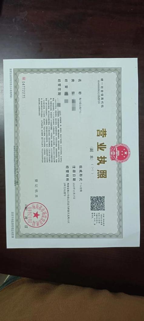 有限责任公司(自然人独资)