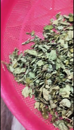 俄色叶多少钱一盒