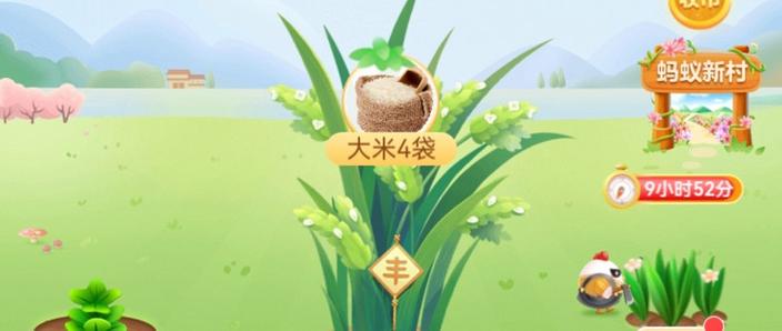 支付宝抽签赢大米