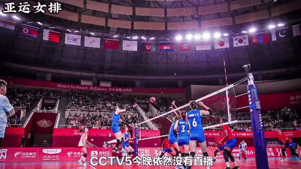 cctv5现场直播排球