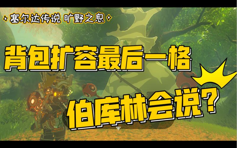 旷野之息背包无限扩容游戏截图