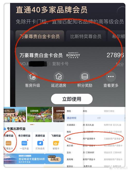 如何达到艺龙白金会员