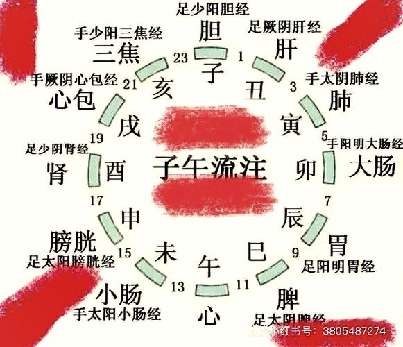 子午流注正确背诵口诀
