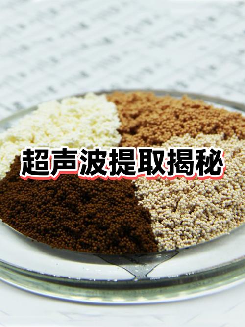 超声波辅助提取三叶草中叶绿素