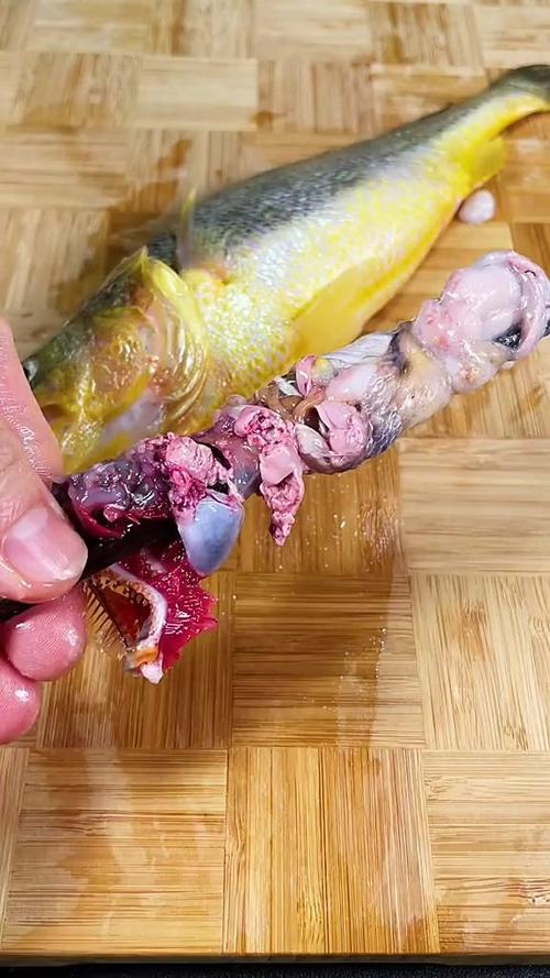 做鱼方法大全视频