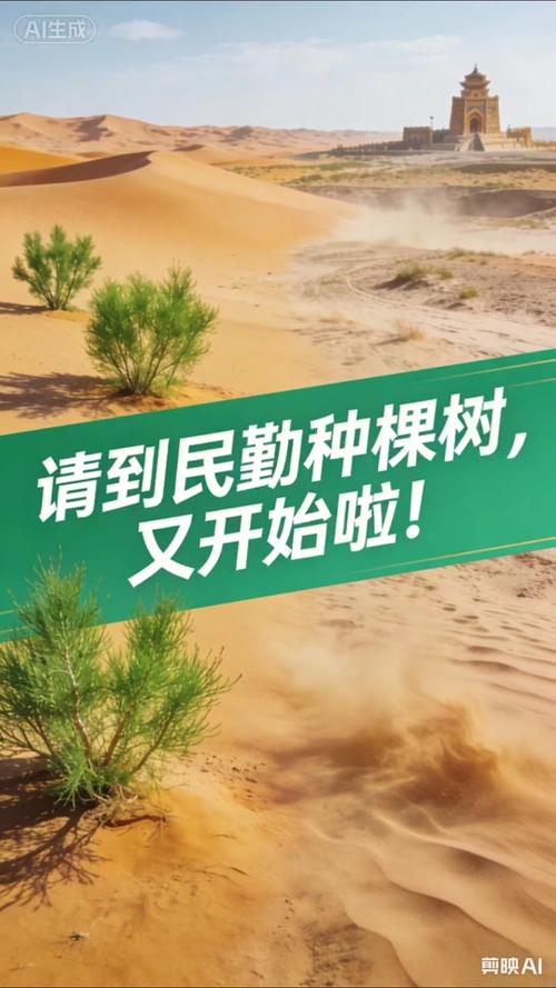 一年中种树的最佳时间截图