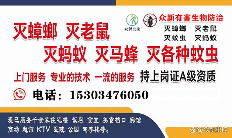 蝙蝠怎么才能灭除