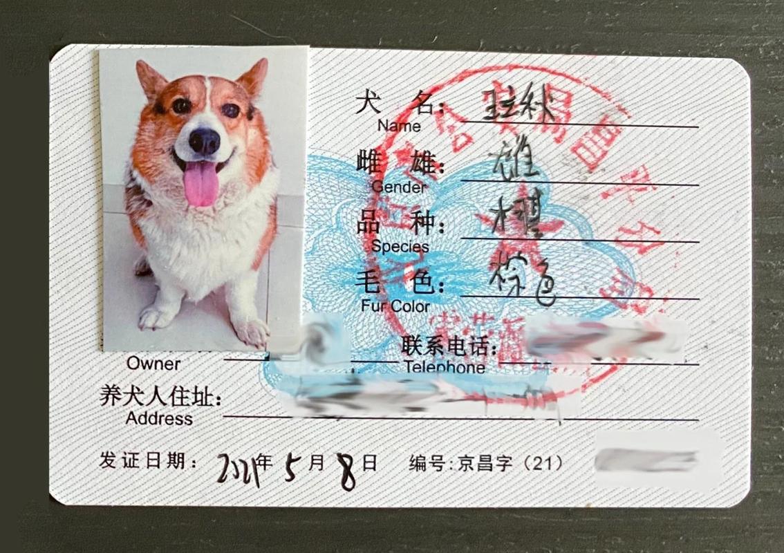 狗证是一年一办吗