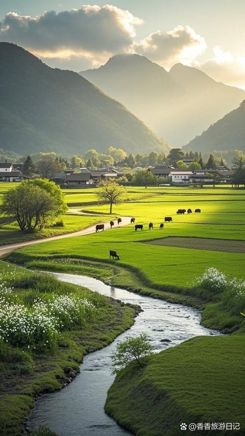 悠闲乡村生活