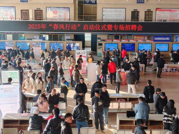 人才市场最新招聘缩略图