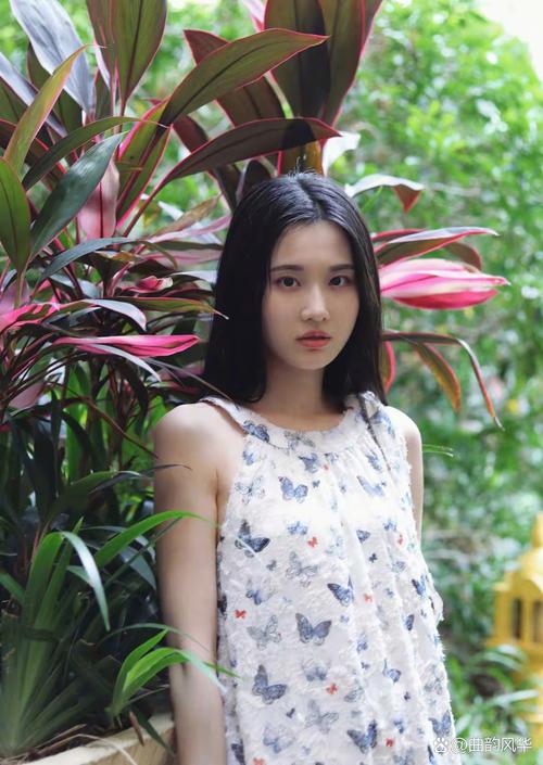 张慧雯面相分析缩略图
