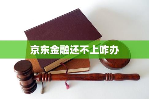 京东金融的钱还不上怎么办