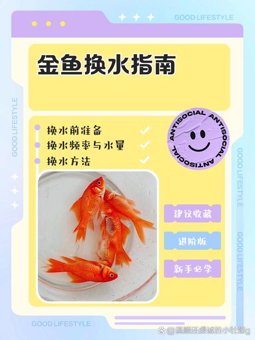 养小红鱼几天换一次水