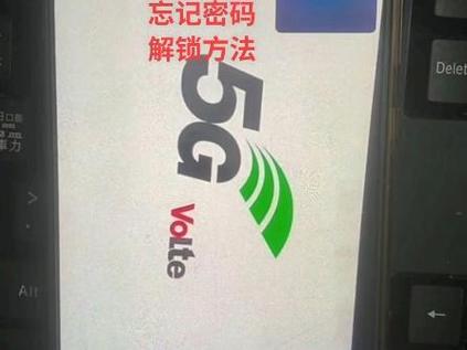 volte忘记密码恢复出厂设置游戏截图