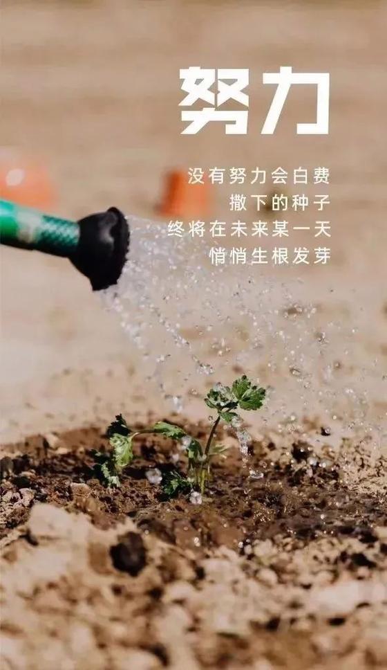 激励人心的正能量励志句子