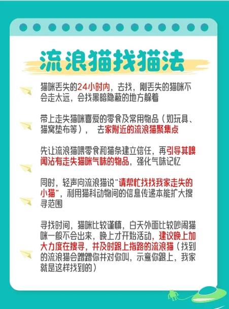 猫咪丢失了怎么找回来的方法
