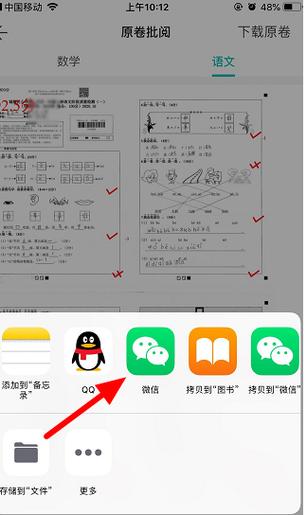 学生成绩怎么查询截图