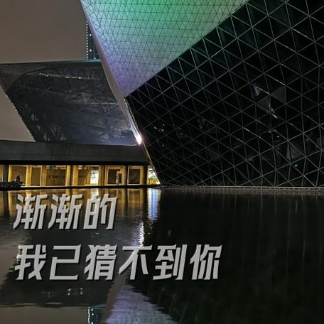 我猜不到你真正的感觉是什么歌