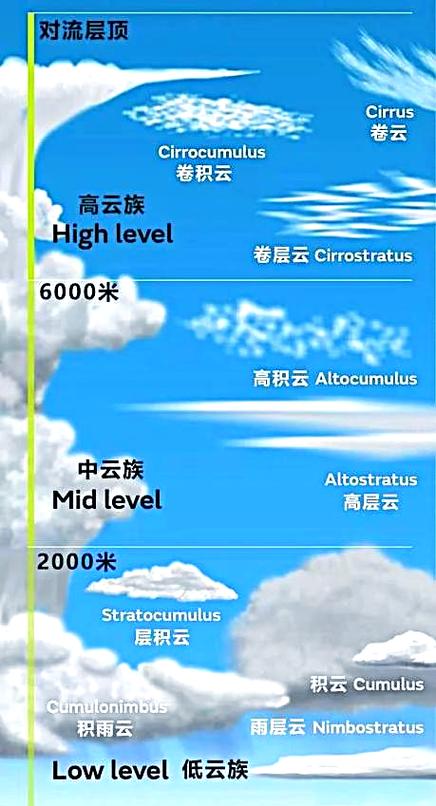 29种云的名称