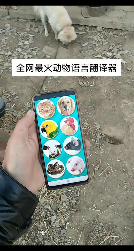 人兔翻译器中文版