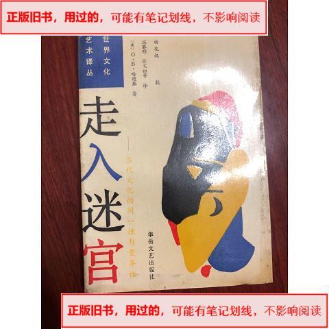 走入迷宫1988