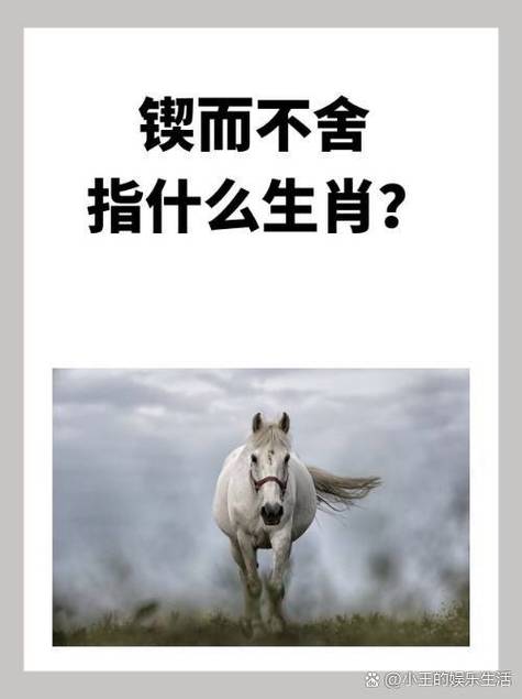 属牛不得不让人佩服的时辰