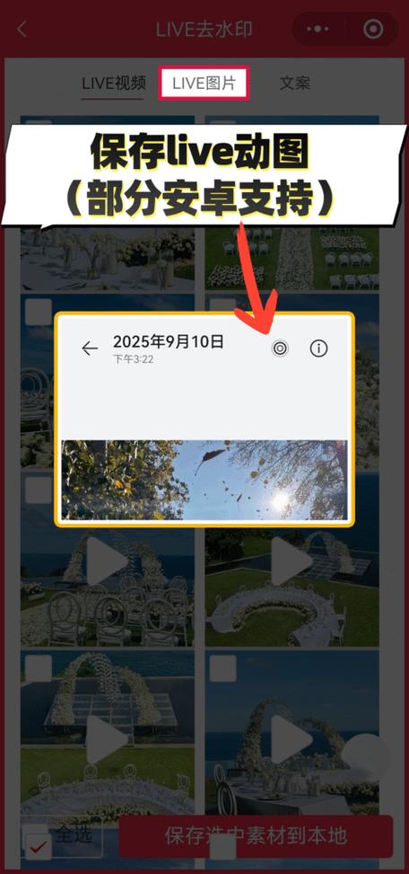 小红书保存怎么不带水印