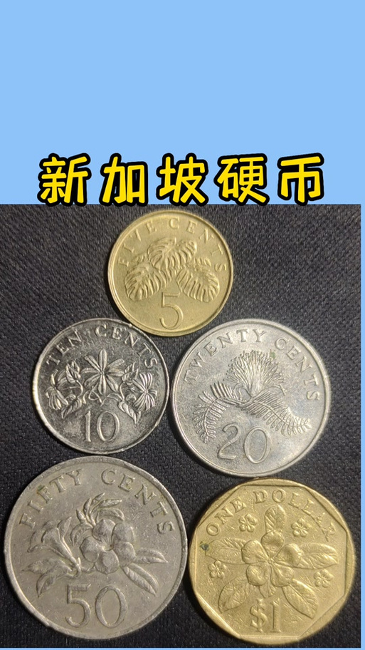 新加坡硬币
