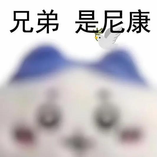 大兄弟是啥意思缩略图