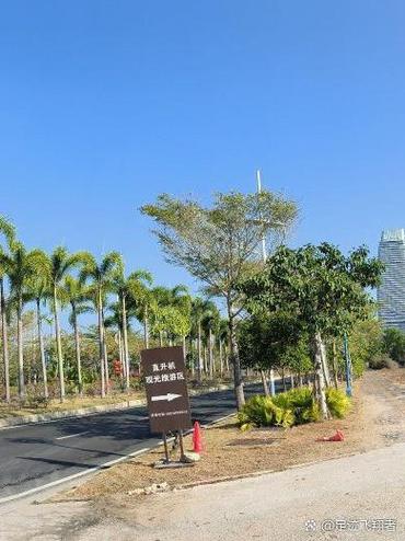 光遇很高的地方怎么飞上去