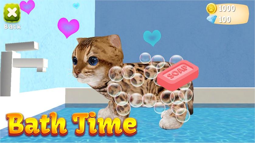 小猫模拟器中文版下载