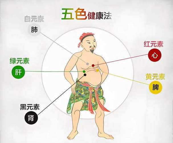 人体365六位背诵口诀