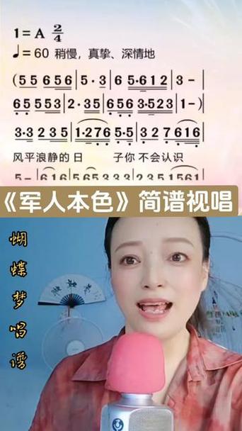 一首DJ版军人的本色
